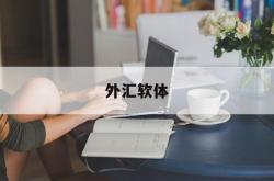 外汇软体(外汇中的硬币和软币是指什么)