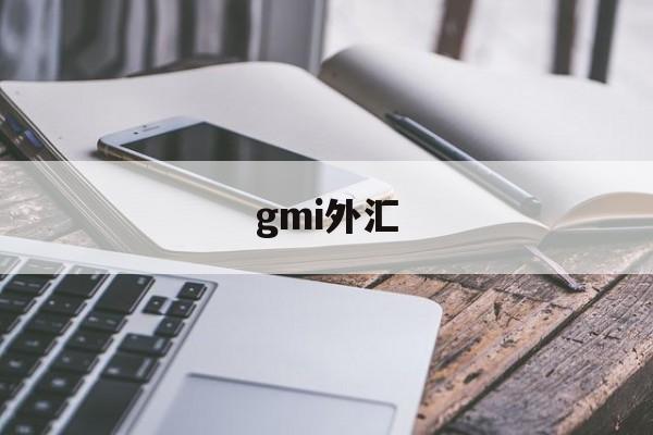 gmi外汇(gmi外汇官网登录)