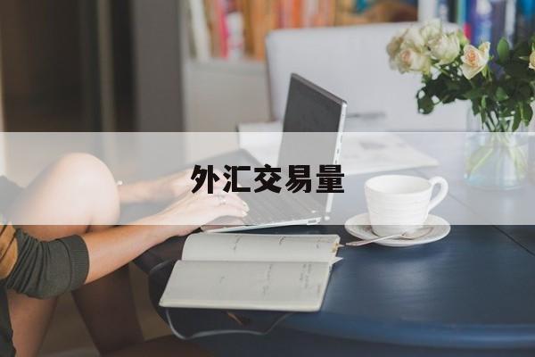 外汇交易量(全球外汇交易量)